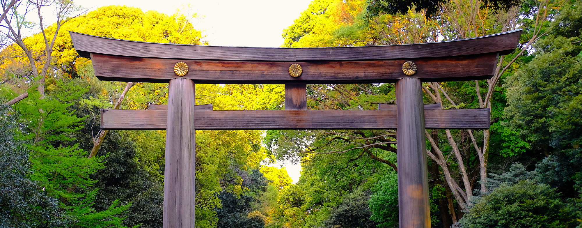 神社本庁とは？役割や取り組みについて調査